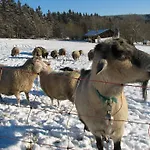 U Subrtu Проживание в семье