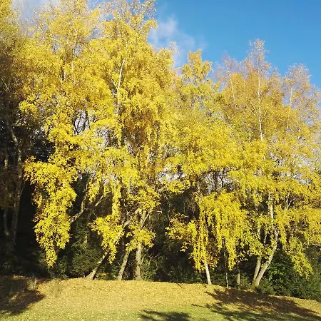 Ubytování v soukromí U Subrtu