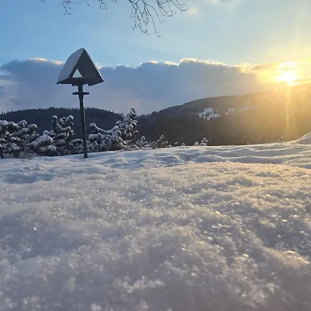 Homestay Chalupa U Subrtu Strazne