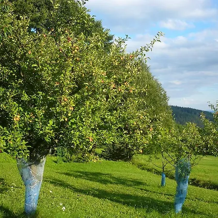 U Subrtu