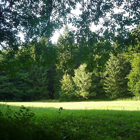 Homestay Chalupa U Subrtu Strazne