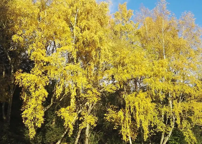 Ubytování v soukromí U Subrtu